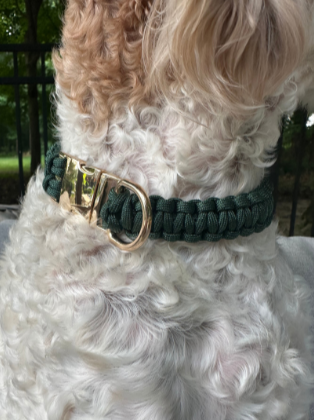 Cobra Braid in Emerald Green - Handmade Dog Collar