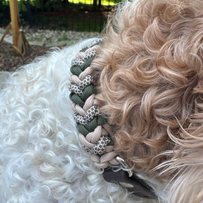 Coiled Charm Hand Braided Dog Collar in Olive, Light Tan, & Coyote Brown Diamonds