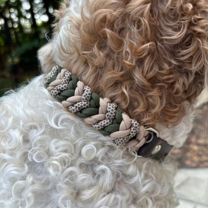 Coiled Charm Hand Braided Dog Collar in Olive, Light Tan, & Coyote Brown Diamonds