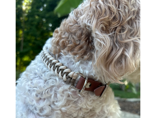 Fishtail Hand Braided Dog Collar in Tan & Cream