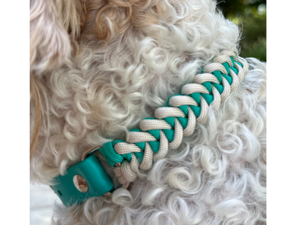 Fishtail Hand Braided Dog Collar in Teal & Cream