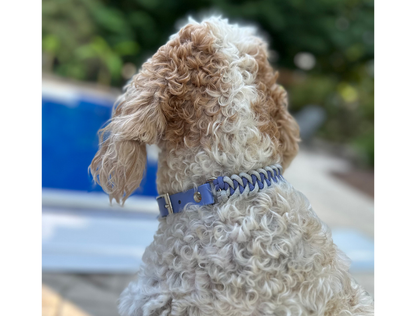 Fishtail Hand Braided Dog Collar in Lavender & Smoke