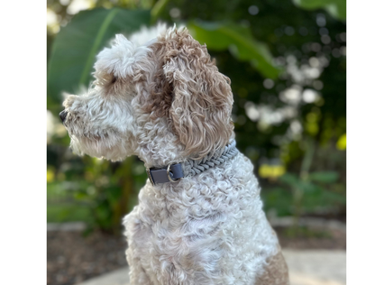 Fishtail Hand Braided Dog Collar in Graphite & Smoke